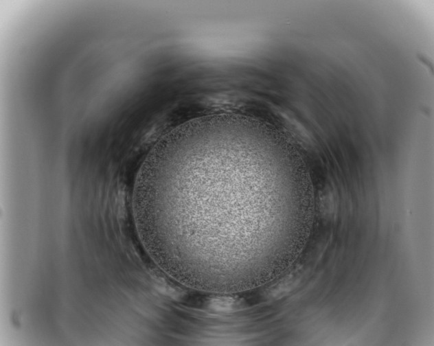 X0000095930757200801181440