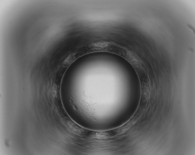 X0000095930758200801181440