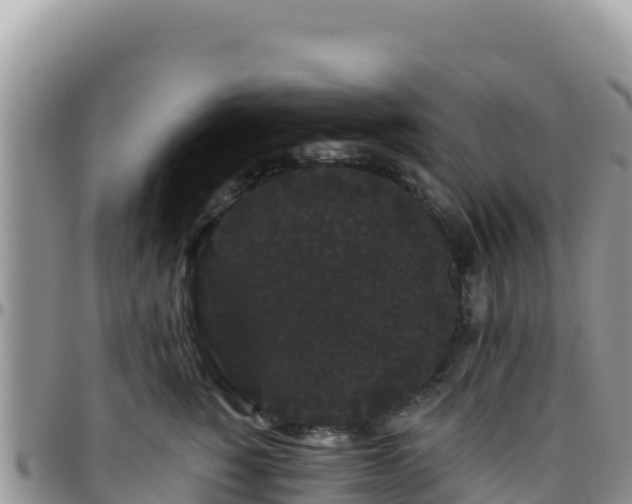 X0000095930760200801181440