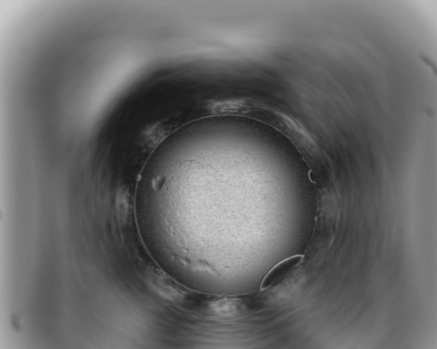 X0000095930761200801181440