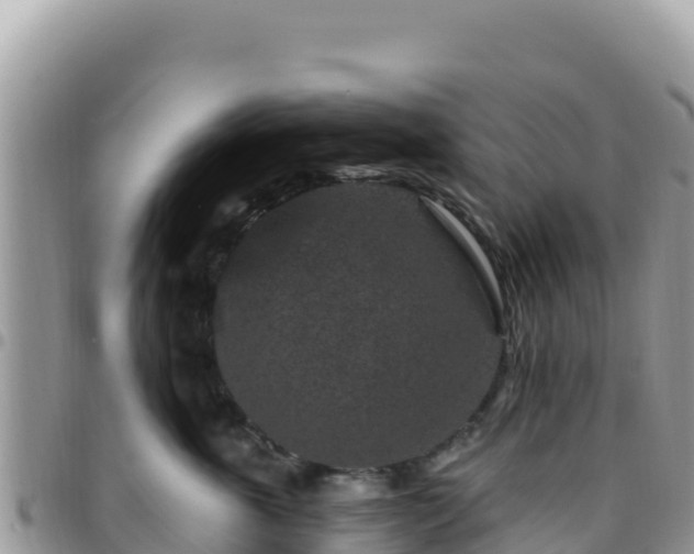 X0000095930763200801181440
