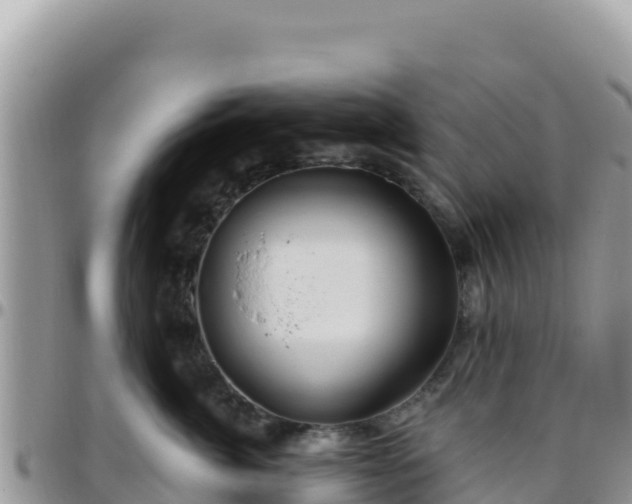 X0000095930764200801181440