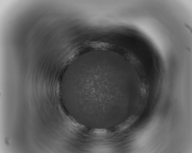 X0000095930767200801181440