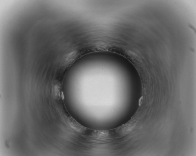 X0000095930768200801181440