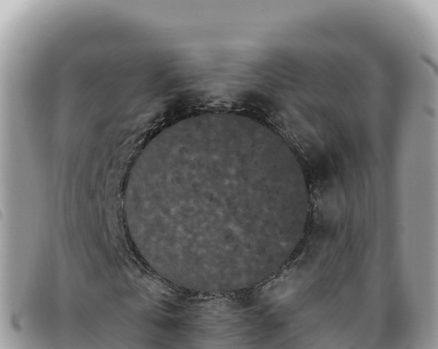 X0000095930769200801181439