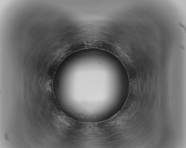 X0000095930770200801181439