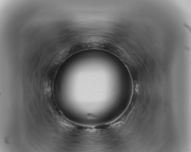 X0000095930771200801181439