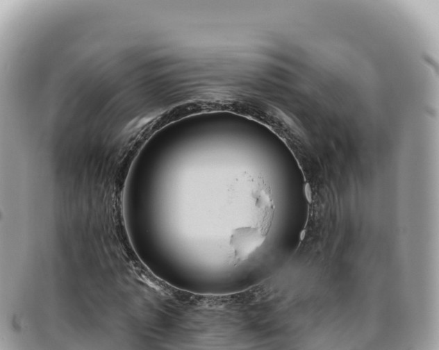 X0000095930773200801181439
