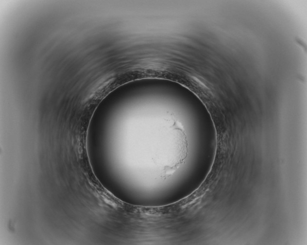 X0000095930774200801181439
