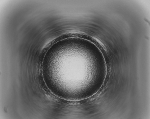 X0000095930775200801181439
