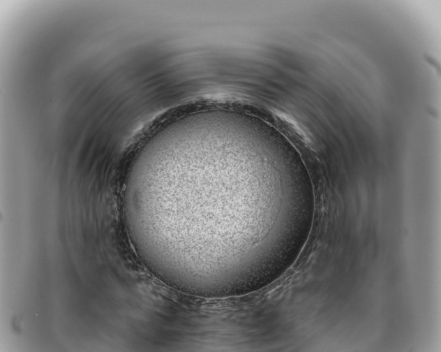X0000095930776200801181439