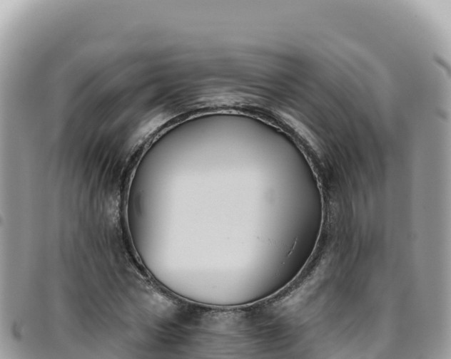 X0000095930778200801181439