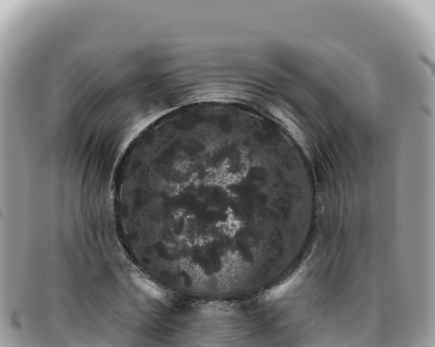 X0000095930779200801181439