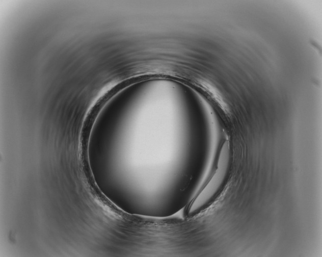 X0000095930780200801181439