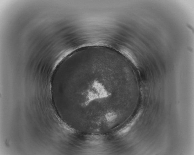 X0000095930781200801181439