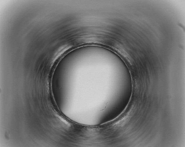 X0000095930782200801181439