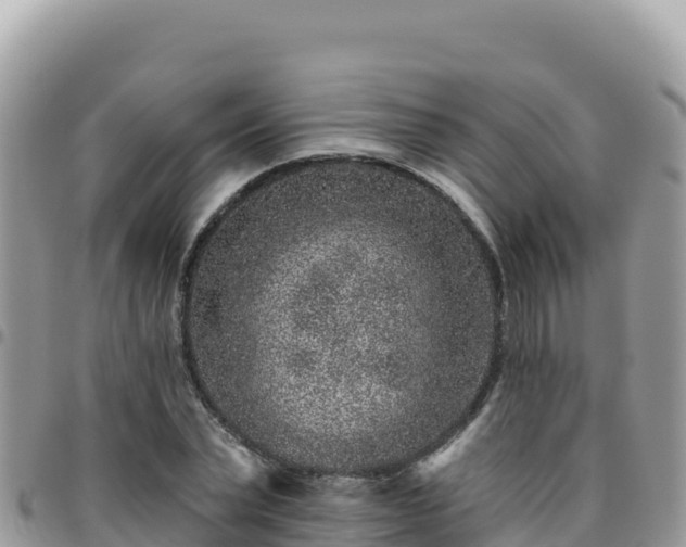 X0000095930783200801181439