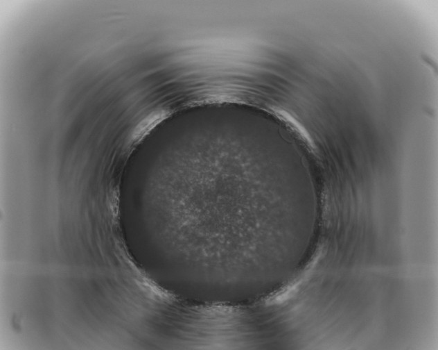 X0000095930785200801181439