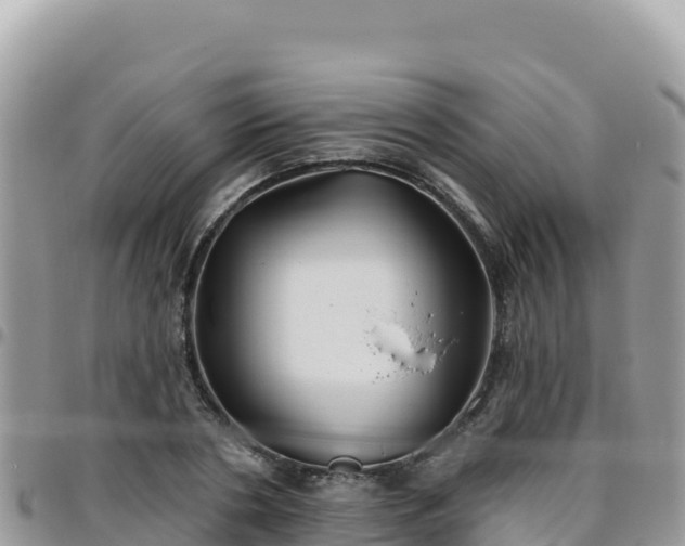 X0000095930786200801181439