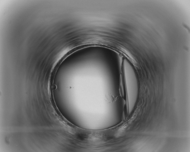 X0000095930788200801181439