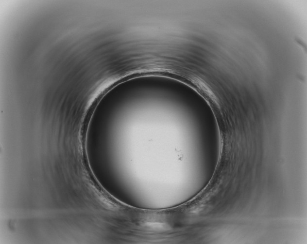 X0000095930789200801181439
