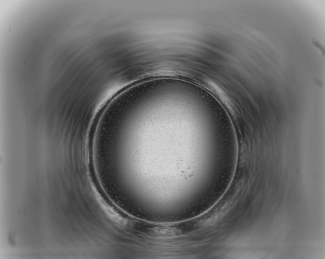 X0000095930795200801181438