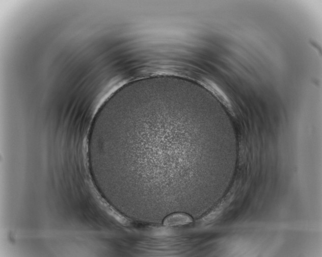 X0000095930798200801181438
