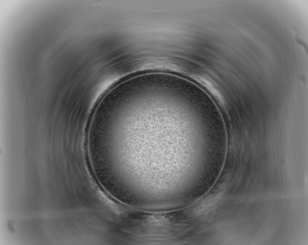 X0000095930799200801181438