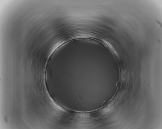 X0000095930802200801181438