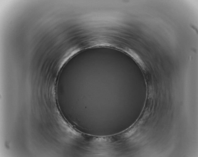 X0000095930806200801181438