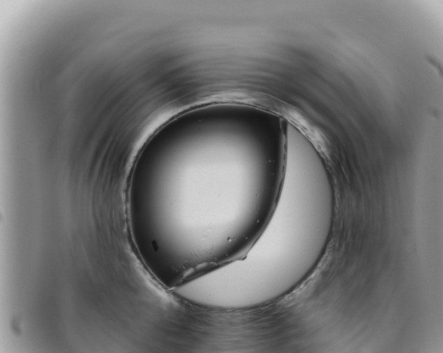 X0000095930808200801181438