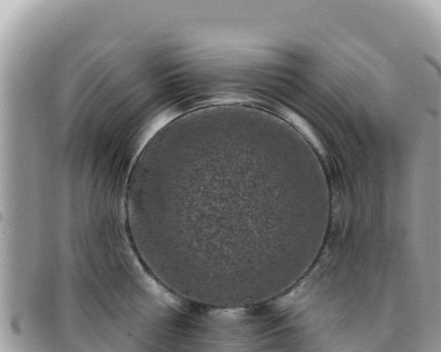 X0000095930810200801181438