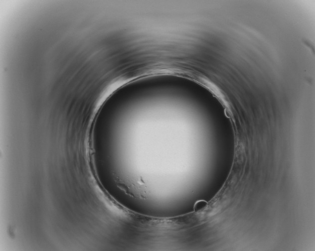 X0000095930811200801181438