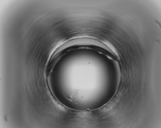 X0000095930813200801181438