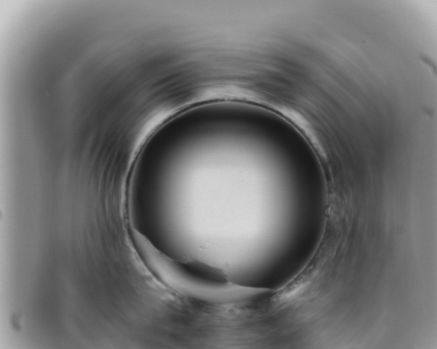 X0000095930815200801181438