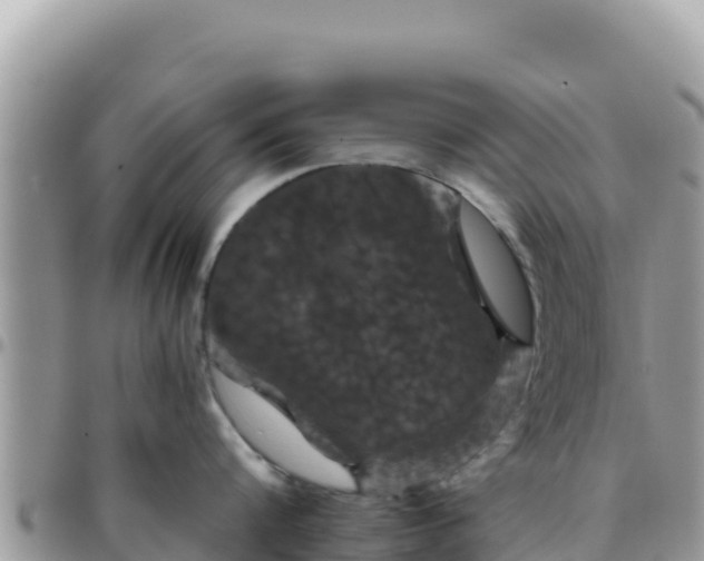 X0000095930816200801181438