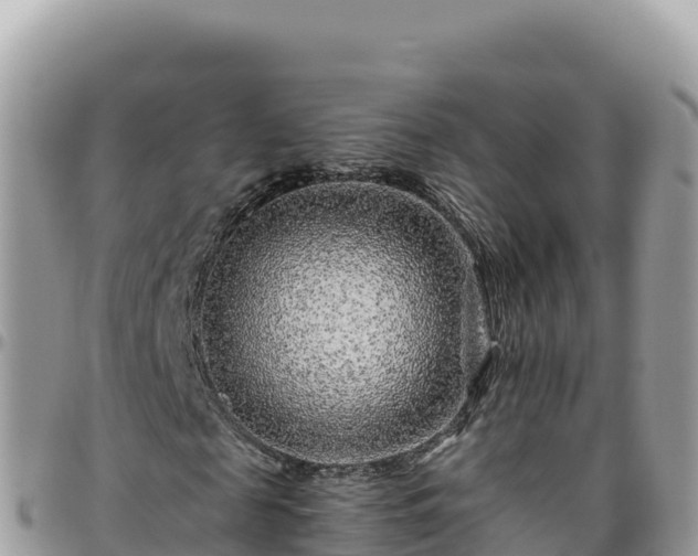 X0000095930817200801181437