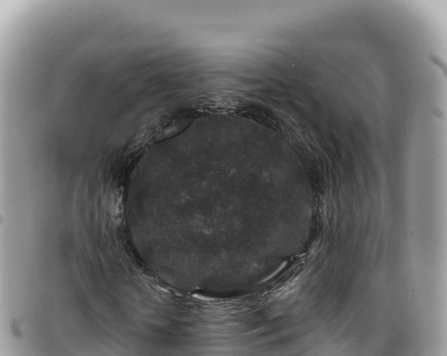 X0000095930818200801181437
