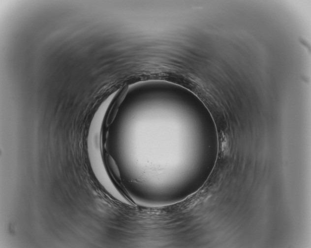 X0000095930819200801181437