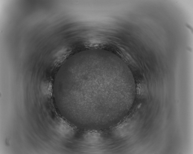 X0000095930820200801181437