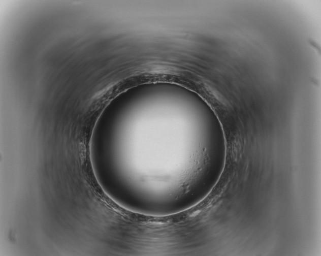 X0000095930821200801181437