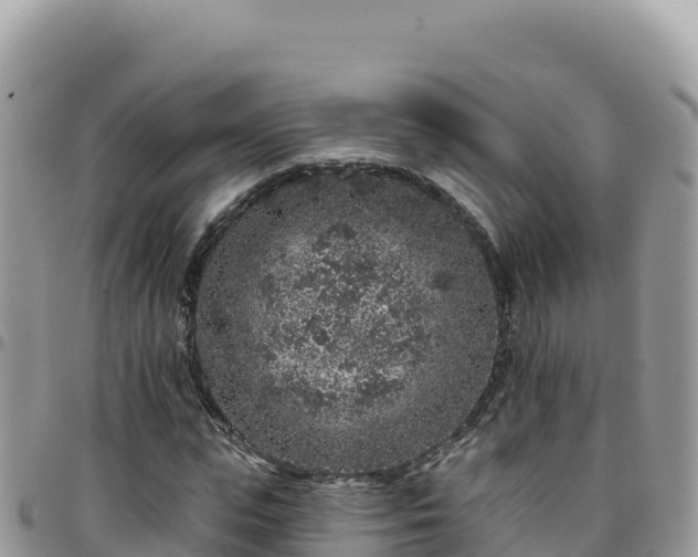 X0000095930823200801181437