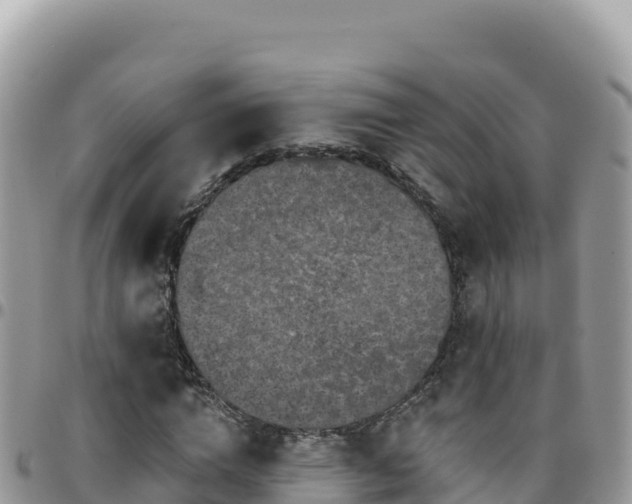X0000095930824200801181437