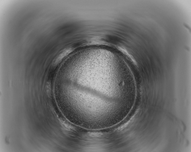 X0000095930825200801181437