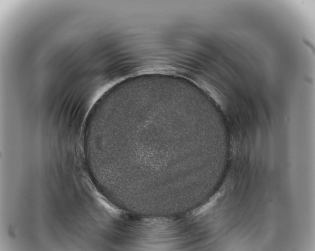 X0000095930830200801181438