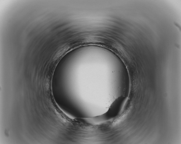 X0000095930833200801181438