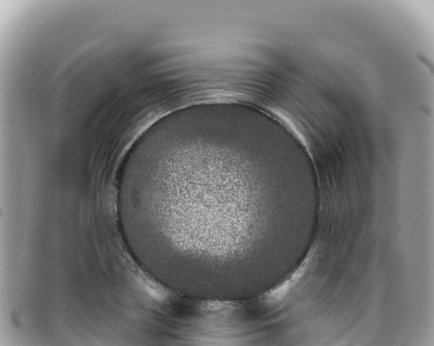 X0000095930835200801181438