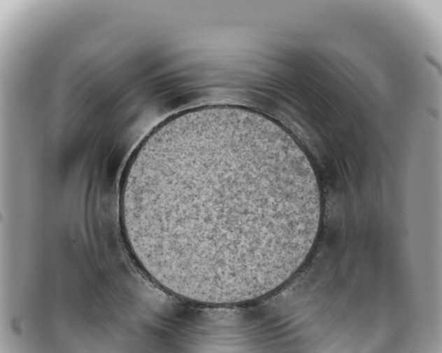 X0000095930836200801181438