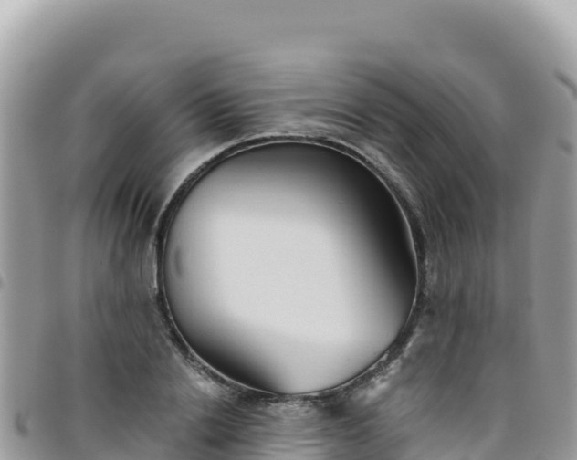 X0000095930838200801181438