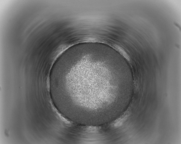 X0000095930839200801181438